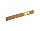 Сигара Cohiba Exquisitos